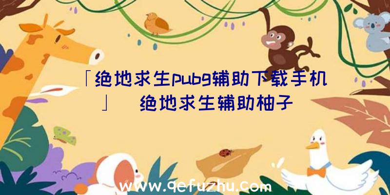 「绝地求生pubg辅助下载手机」|绝地求生辅助柚子